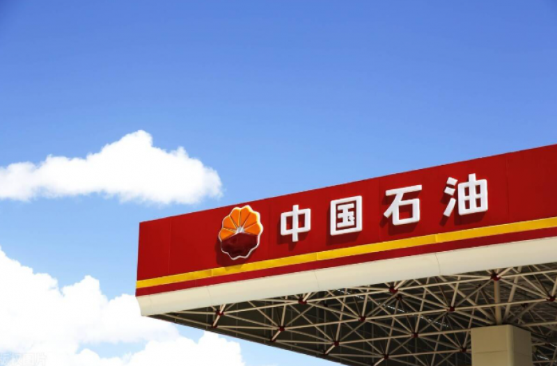 中國石油集團董事長戴厚良會見厄瓜多爾能礦部副部長費雷拉