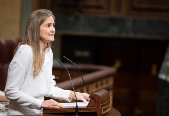 西班牙議會否決電網(wǎng)改革與儲能發(fā)展法案