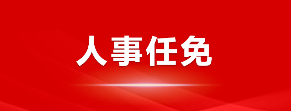 孫超亮任中國西電副總經理